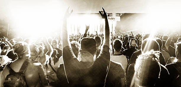 istock Music concert and crowd 506665971