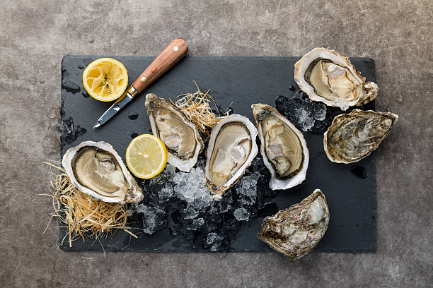 Oysters on the ice and lemon stock photo