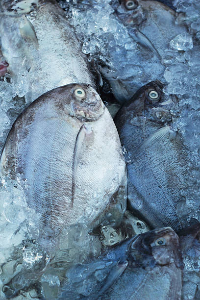 istock Fresh fish on ice in the market. 506667689
