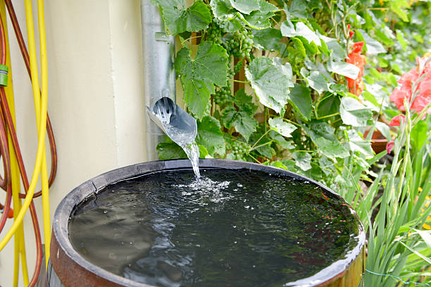 cilindro de lluvia - wasserspeicher fotografías e imágenes de stock