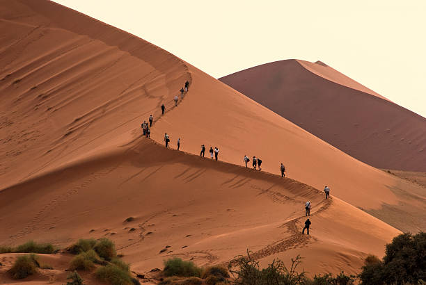 istock Sand Dune Walk. A line of people walking the dune. 506669847