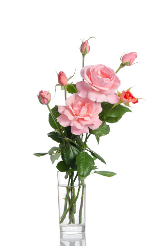 Beautiful bouquet of roses in a glass vase isolated on white background