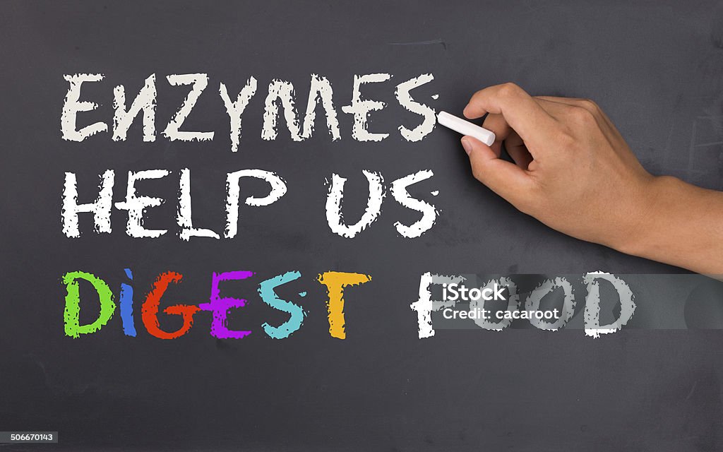 enzymes help us digest food Enzyme Stock Photo