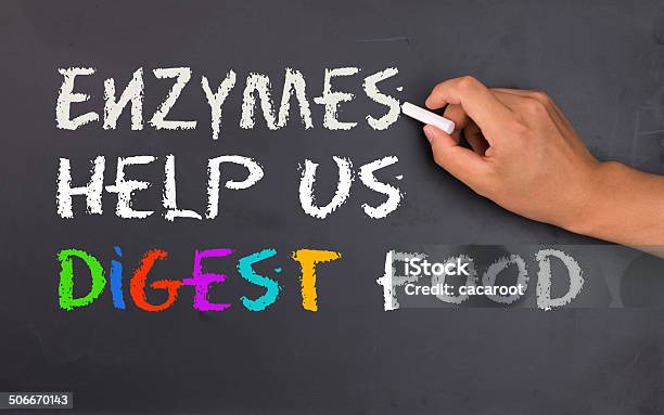Enzymes Help Us Digest Food Stock Photo - Download Image Now - Enzyme, Assistance, Chemical