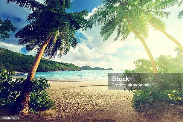 Sunset On Beach Mahe Island Seychelles Stock Photo - Download Image Now - Beach, Tropical Climate, Island