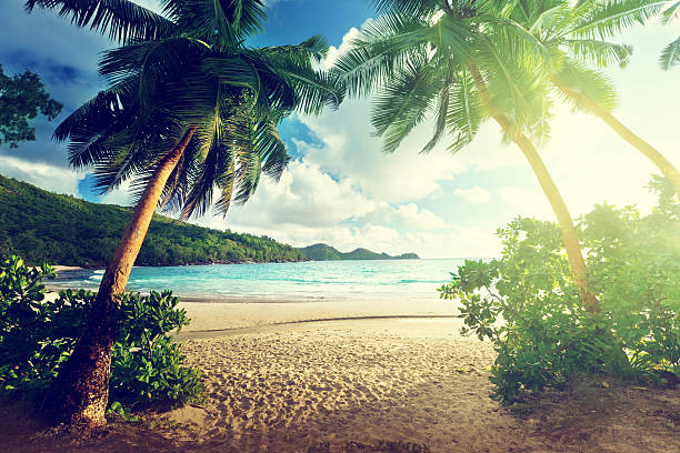 pôr do sol na praia, ilha de mahé, seychelles - seychelles sea lagoon tropical climate - fotografias e filmes do acervo