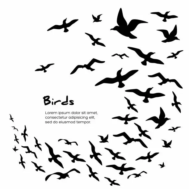 Vector illustration of Silhouettes of flying birds