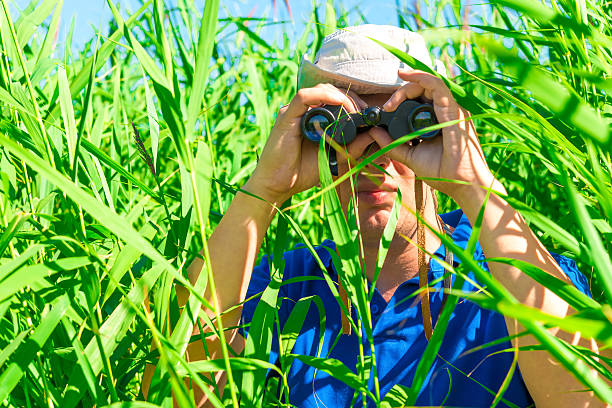 istock man in an ambush the reeds with binoculars 506670997