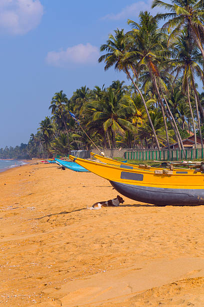 istock Sri Lanka, Wadduwa 506671505