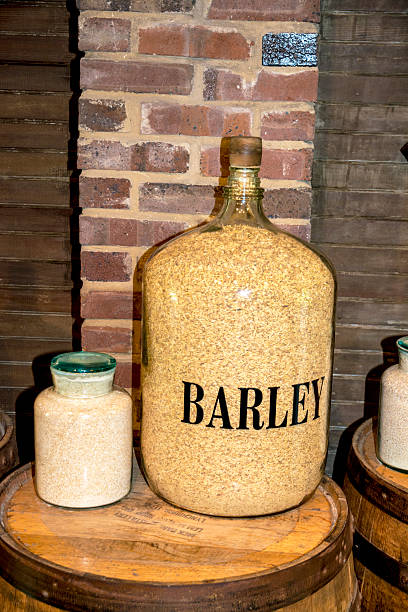 istock Barley is used in making wiskey 506671775