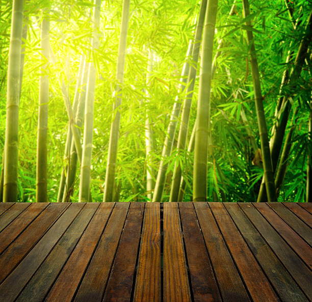istock bamboo forest with ray of lights 506672420