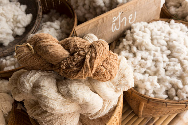 bawełna pozyskiwanie - cotton textile material industry zdjęcia i obrazy z banku zdjęć