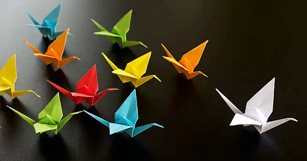 Photo of origami birds