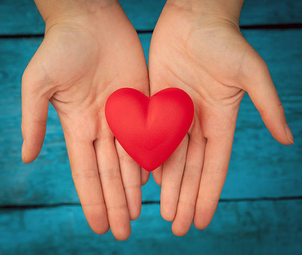 istock Red heart in the hands 506678304