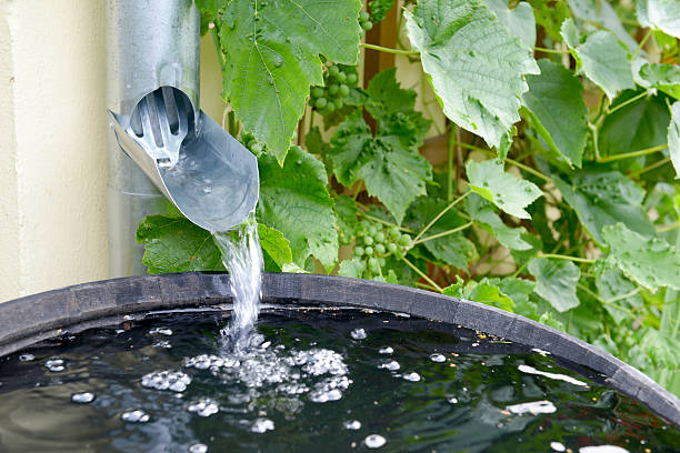 cilindro de lluvia - wasserspeicher fotografías e imágenes de stock