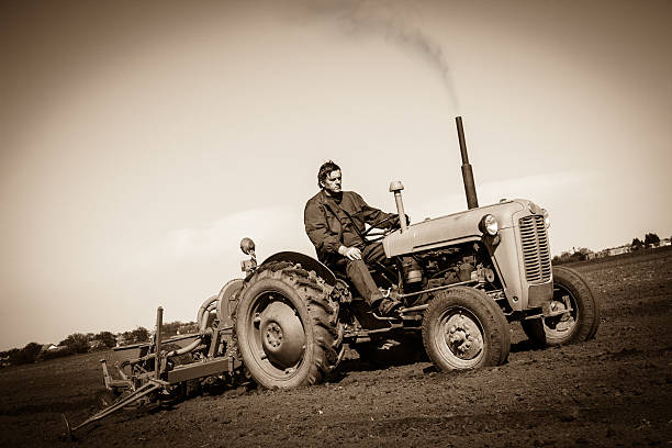 Farmer in  Old-fashioned tractor sowing crops at field, Sepia