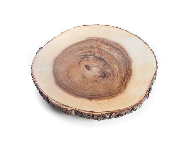 albero sottile - lumber industry timber tree redwood foto e immagini stock