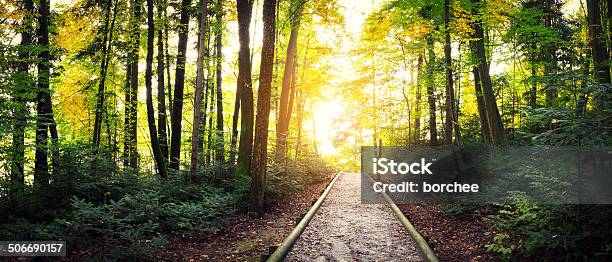 Forest Path Stock Photo - Download Image Now - Footpath, Nature, Single Lane Road