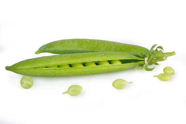 pod ervilhas isoladas - green pea pea pod salad legume imagens e fotografias de stock