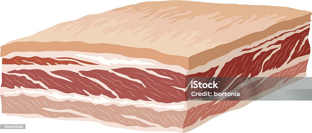 Pork Belly A slab of raw pork belly. File contains no gradients and very subtle transparencies in the veins of the meat. Human Abdomen stock vector