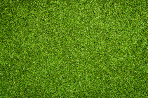 Close up of synthetic green grass texture