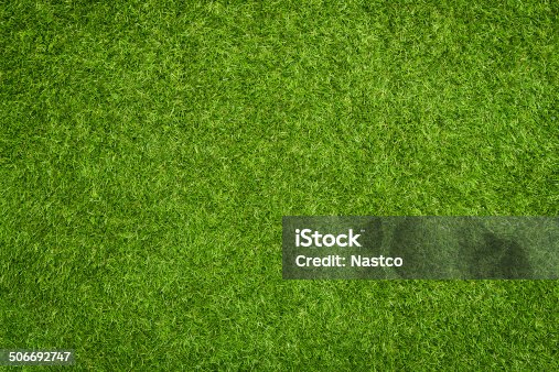 istock Artificial grass 506692747