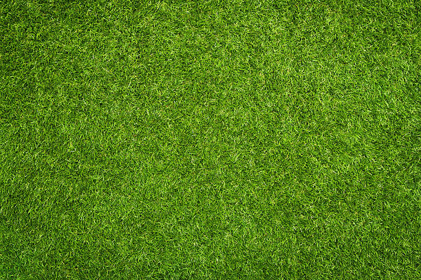 Artificial grass stock photo