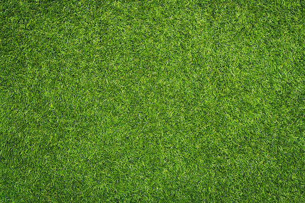 Artificial grass Close up of synthetic green grass texture domestic garden stock pictures, royalty-free photos & images