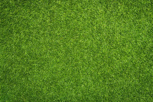Close up of synthetic green grass texture
