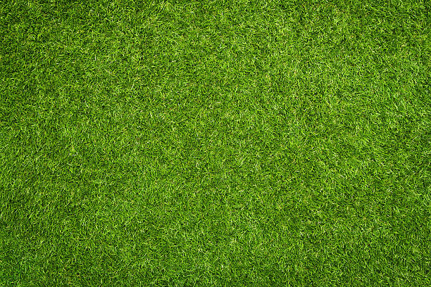 sztuczna trawie - grass zdjęcia i obrazy z banku zdjęć