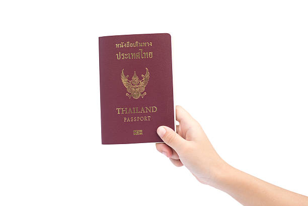 kleine hand halten passport isoliert. - customs official examining emigration and immigration document stock-fotos und bilder