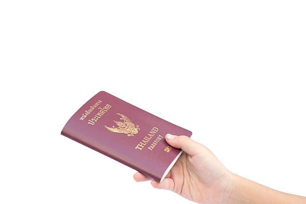 kleine hand halten passport isoliert. - customs official examining emigration and immigration document stock-fotos und bilder