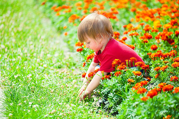 istock Cute little boy playing in flowers 506695089
