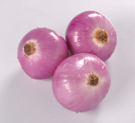 Sprouted Onion on pink background, growth concept