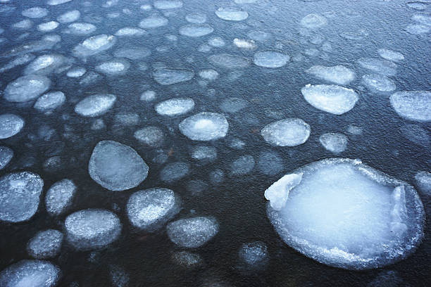 istock ice floes in the water 506700646