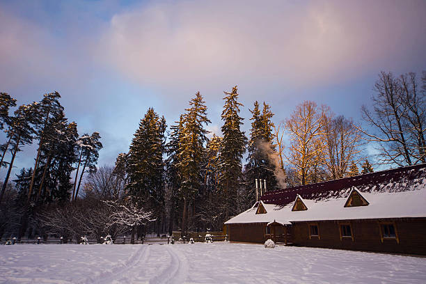 istock homestead in the winter forest 506701564