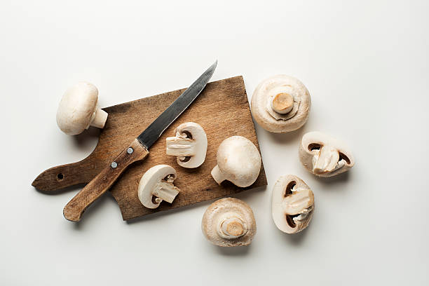 hongos - edible mushroom white mushroom isolated white fotografías e imágenes de stock