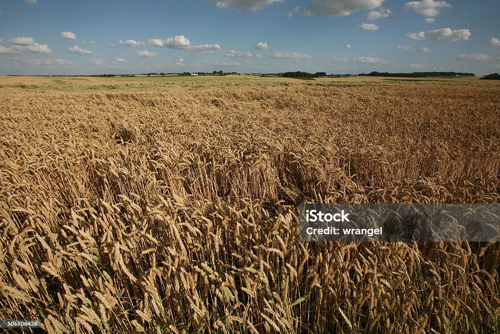 Campo de batalla de Waterloo Batalla (1815) cerca de Bruselas, Bélgica - Foto de stock de 1810-1819 libre de derechos