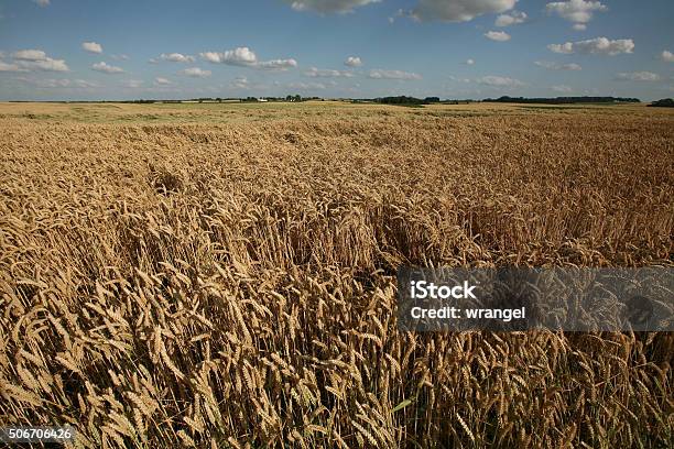 Campo De Batalla De Waterloo Batalla Cerca De Bruselas Bélgica Foto de stock y más banco de imágenes de 1810-1819