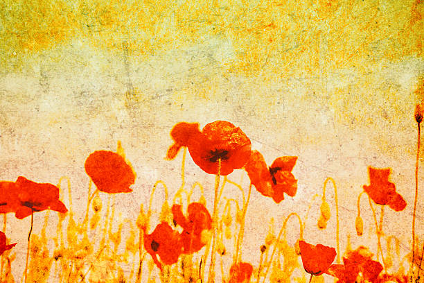 istock Beautiful vintage postcard background 506707966