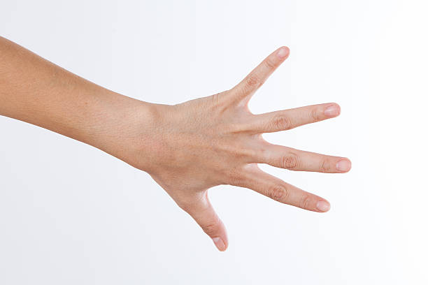 istock Back hand showing the five fingers isolated on a white 506711947