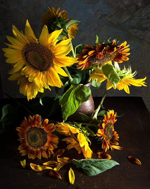 istock Beautiful sunflower in a vase 506712049