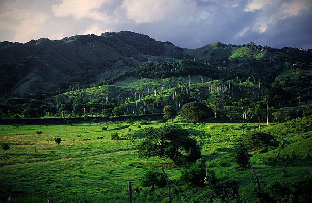 istock Beautiful mountain scenery Dominican 506712567