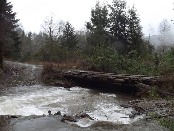 Wooden bridge over the stream stock photo