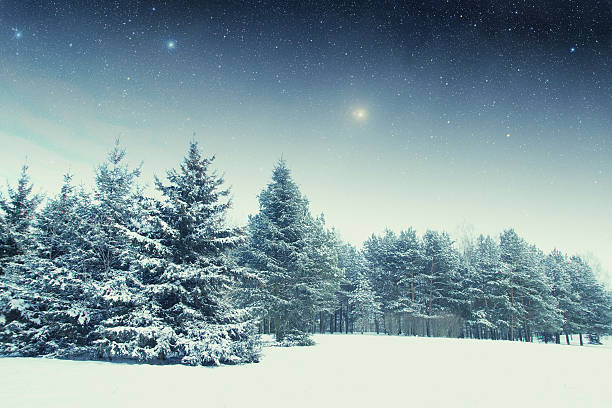 冬の夜には、パークがございます。 - snow winter bench park ストックフォトと画像