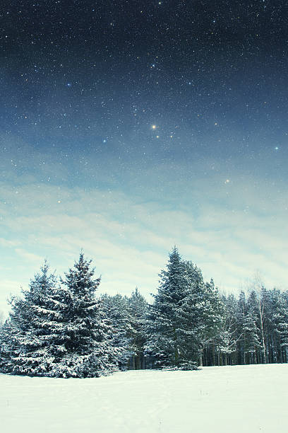 istock winter night in the park. 506715415