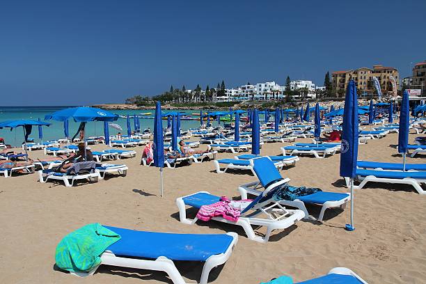 fig tree bay, zypern - sea fig stock-fotos und bilder