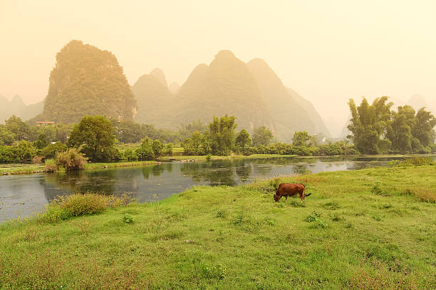 istock Karst mountain landscape in Yangshuo Guilin, China 506716082