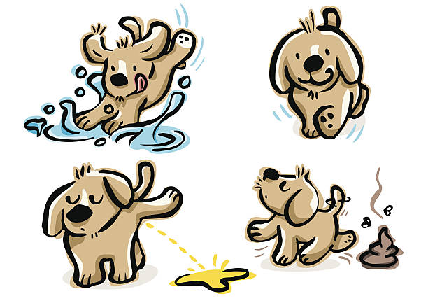 Puppy walking, doing pee, poop and jumping over a puddle Friendly mascot doing pipi. Labrador puppy pooping. Golden retriever tiny jumping over a charcho and staining it all. Dog happy. Dog wallowing in the water. dog splashing stock illustrations