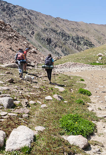 istock People go to a mountain hike on a beautiful summer 506716629